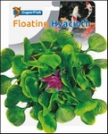 POND DECO HYACINTH