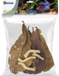 SF BIOTOPE SET BETTA