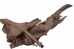 HS AQUA ZAMBIA WOOD L 30-40CM