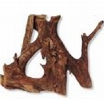 JBL MANGROVE L HOUT