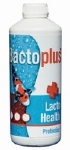 SF BACTOPLUS LACTO HEALTH PROBIOTICS 1L