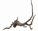 HS FINGERWOOD DARK S