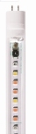 AS T5 LED FRESHWATER PRO 8000K 7W 438 MM (JUWEL)