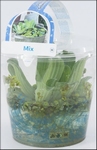 DRIJFPLANTEN MIX JUMBO BEKER