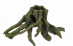 HS BLEU BELLE PACIFIC TRUNK MANGRO 4