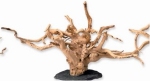 SF SPIDERWOOD ON ROCK M