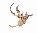 HS SPIDERWOOD M  31-40CM
