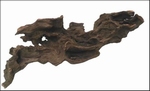 HS AQUA HONEYCOMB WOOD XS 10-20 CM