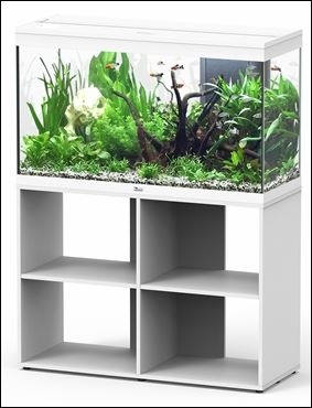AQUATLANTIS AQUARIUM SET SPLENDID ULTRA 100 WIT/D NOTEN