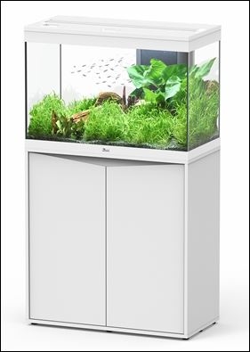 AQUATLANTIS AQUARIUM SPLENDID ULTRA 80 MET RGB  WIT