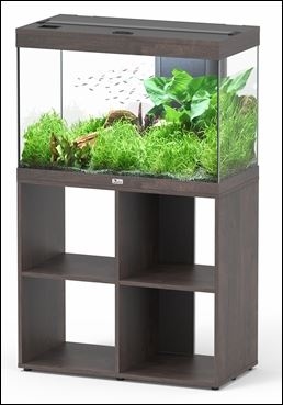 AQUATLANTIS AQUARIUM SPLENDID ULTRA 80 MET RGB DONKERBRUIN