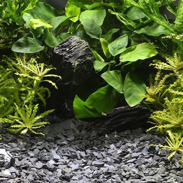 DENNERLE NATURAL GRAVEL KONGO 10-30MM 500GR