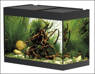 OASE  AQUARIUM SET  STYLE LINE 125