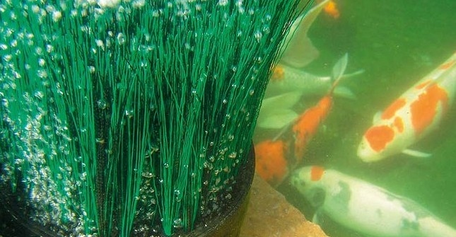 OASE OXY TEX SET 1000