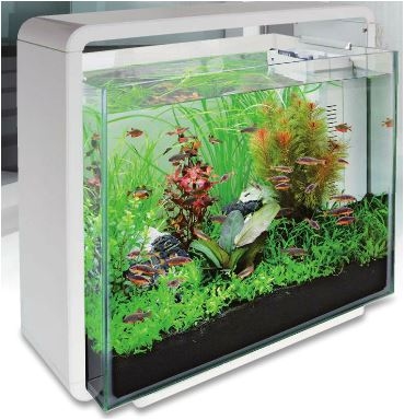 SF HOME PROLED 65 AQUARIUM ZWART