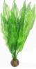 SF EASY PLANTS HOOG 30CM NR5