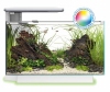 SF QUADRO 40 MULTICOLOR  AQUARIUM WIT