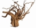 HS ROTE MOORWURZEL HOUT