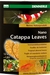 DENNERLE NANO CATAPPA LEAVES