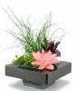 MIX MAND DRIJF RING MET 3 PLANTEN COMPLEET