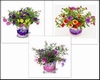 FESTIVAL MEER KLEUREN IN 1 POT
