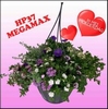 HANGPOT MEGA MAXX SUPER 37CM  MET WATERRERVOIR
