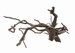 HS FINGERWOOD DARK L