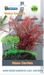 SF NANO GARDEN 3