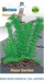 SF NANO GARDEN 1