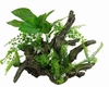 HS BLEU BELLE PACIFIC AQUASCAPE 1