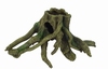 HS BLEU BELLE PACIFIC TRUNK MANGRO 4