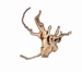 HS SPIDERWOOD XS 10-20CM