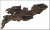 HS AQUA HONEYCOMB WOOD XS 10-20 CM