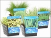 MIX MAND  ZUURSTOFPLANTEN IN MAND 18x18   AANBIEDING