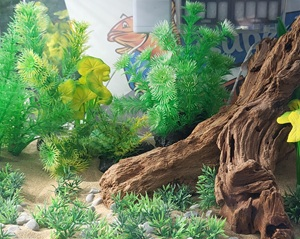 AQUASCAPING