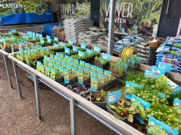 BEPLANTING