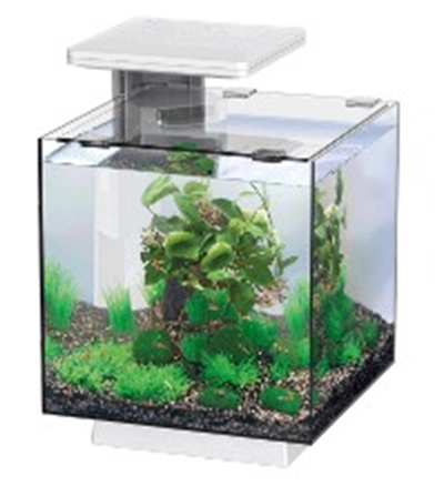 kleine / nano aquaria