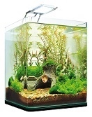 Kleine / Nano aquariums