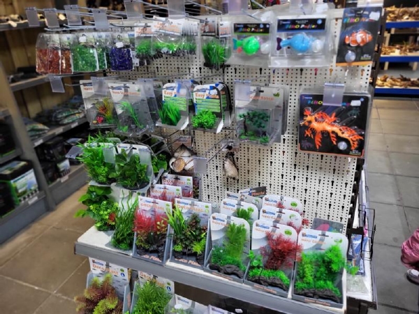 Kunstplant